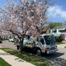 Pressure Washing Amherst 3